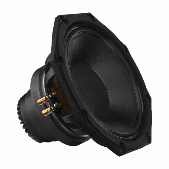 SP-310CX | Professional 2-way coaxial PA speaker-0