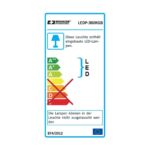 LEDP-300RGB | RGB LED panel-6739