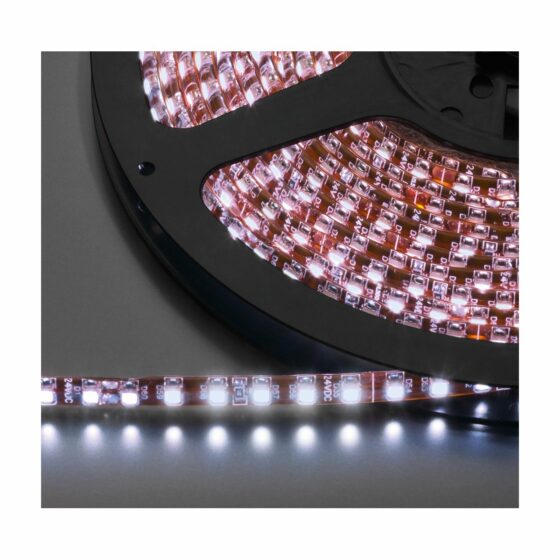 LEDS-5MPL/WS | Flexibilný LED pásik, DC 24 V, biely-0