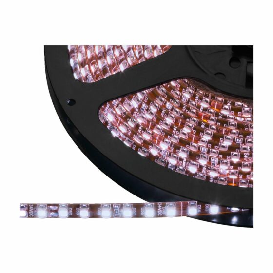 LEDS-5MPL/WS | Flexibilný LED pásik, DC 24 V, biely-4863