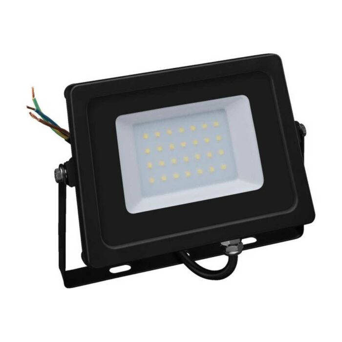 LEDFS-30/WS | LED floodlight