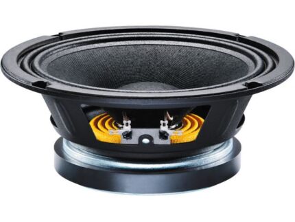 PA bass-midrange speaker